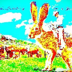 Rabbit Trails