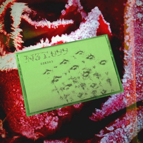 SSK003:  N3T.099 (cassette preview)