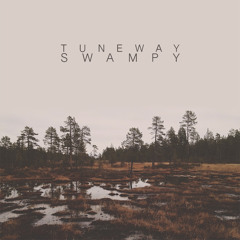 Tuneway's Swampy Set