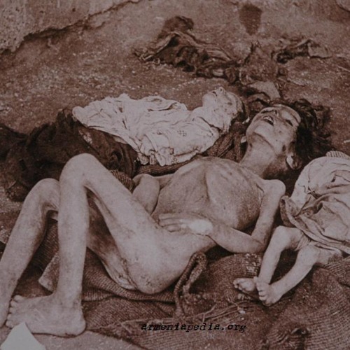 Genocide System (The State of Freedom)