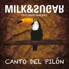 Milk & Sugar - Canto Del Pilon (Afterlife Mix)