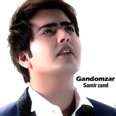 Samir Zand-Gandomzar