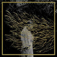 Forest Swords - The Weight In Gold
