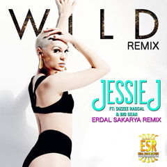 Jessie J feat. Big Sean & Dizzee Rascal - Wild (Erdal Sakarya REMIX)