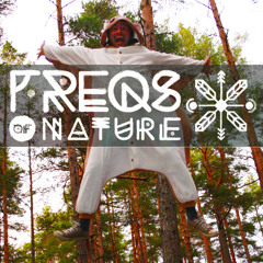 Glitch-bass-diskofunk set at "freqs of nature festival"6th july 2013