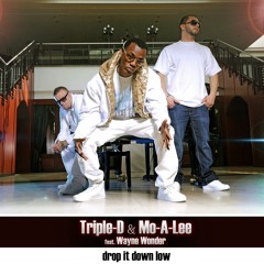 Triple - D & Mo-A-Lee Feat. Wayne Wonder And Ll'ara - Drop It Down Low