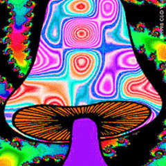 Dheluznatural-raper the for life