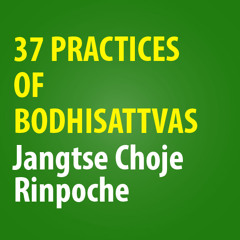 37 Practices of Bodhisattvas Part 3 & Intro to Tantra