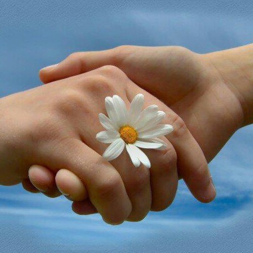 لقاء - يحيى حوا