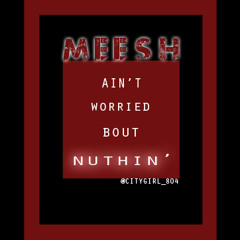 Meesh Ain't Worried Bout Nuthin' (Clean Version)