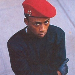 Ambitions Of Professor Griff