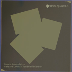 Dopamin Synaps & Sash Liq - Reh - Shiverinn (Original Mix) Preview