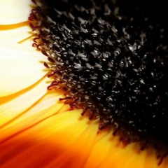 To Whom It May Concern