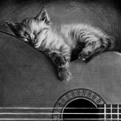 Meow Meow (My Ringtone)