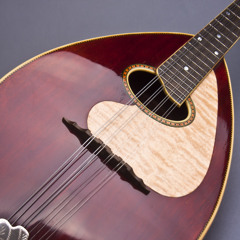 Weymann Mandolute Demo