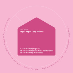 Rogue Vogue - Say You Will (Dublin Aunts Day Rave Mix) Snippet