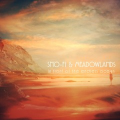 sno-fi & meadowlands - in front of the endless ocean