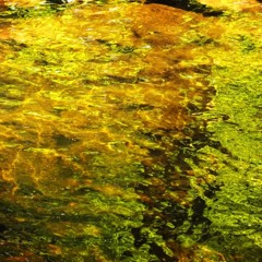 River magic ( Perception Deception EP - out now )
