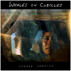 Whales In Cubicles - Across America