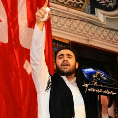 الرادود محمد فصولي الكربلائي وينك ياكرار