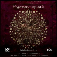Magnutze - Ingravida (Funkenstroem Remix)