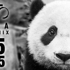 Levito - Panda @EskaLiveRemix by Puoteck, 11.05.2013