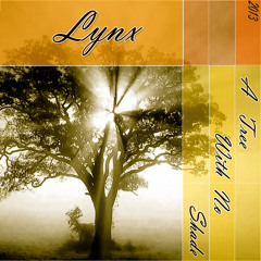 Lynx - A Tree With No Shade