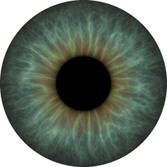 4 Degrees Tool Cover (Rough!)