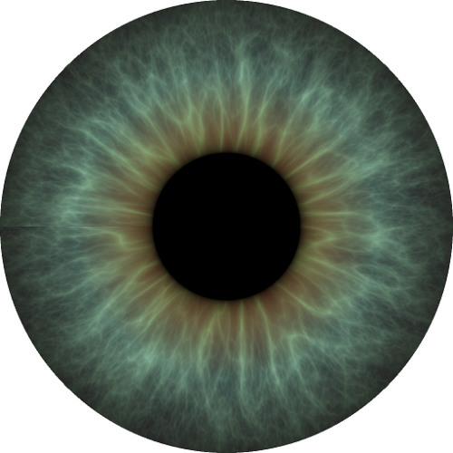 4 Degrees Tool Cover (Rough!)