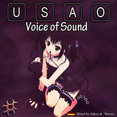USAO - Voice of Sound [2011]
