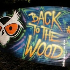 Dj Set @ Back To The Woods 2#