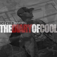 10. The Team [Diary Of Cool] 2012
