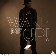 Wake Me Up(feat. Aloe Blacc) - (Avicii)