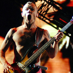 COVER (bass) - Parallel Universe - Red Hot Chili Peppers
