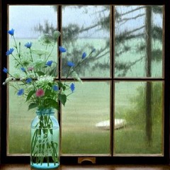 خوابت می‌آيد، خسته‌ای! -سید علی صالحی-دکلمه رضا پیربادیان