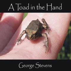 Age of Empires - remix (Toad in the Hand album version)