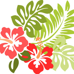 Samoan Kut