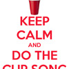 Pitch Perfect - The Cup Song / cover
