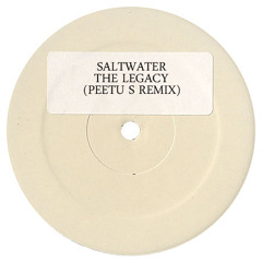 Saltwater - The Legacy (Peetu S Remix)