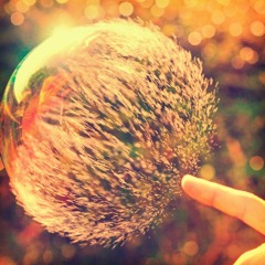 fEEling #4 (fragile)