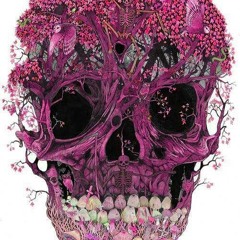 DJ SET RAPHAEL DENSER - one two goo