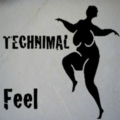 Feel - Technimal (Original Mix)  [Yatzil Records]