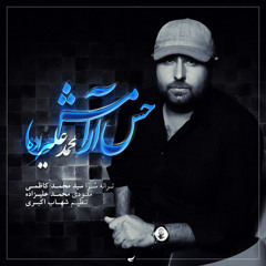 Mohammad Alizadeh - Hesse Aramesh