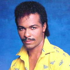 Ray Parker Jr - Still In The Groove
