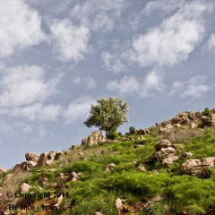 Dashti