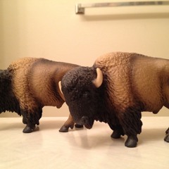 Buffalo Sounds - Puzzles