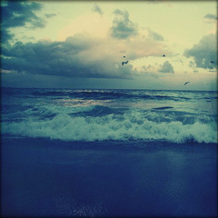 Seashell Memories
