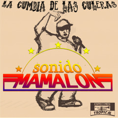 La Cumbia De Las Culeras (Mamalón Rebajado)
