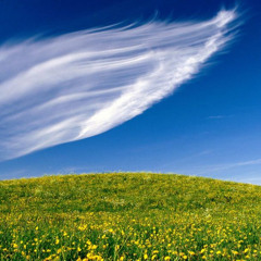 ♥ تصویری از عشق