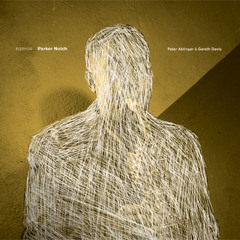 Peter Ablinger & Gareth Davis - Parker Notch
